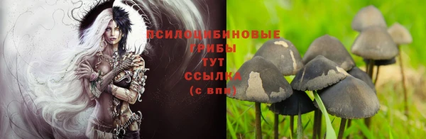 стафф Рославль