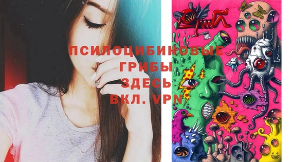 соль курить ск Алексеевка